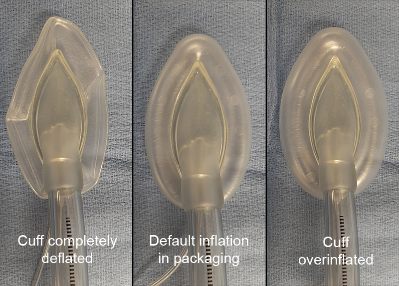 LMA Unique®  Anesthesia Airway Management (AAM)