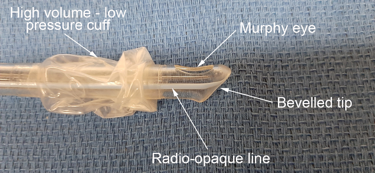 endotracheal tube