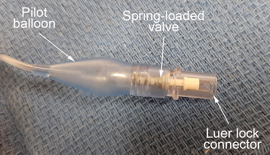 endotracheal tube size right