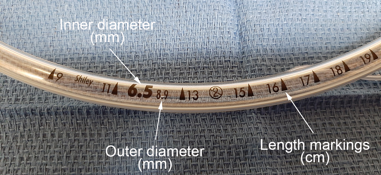 Endotracheal tubes Anesthesia Airway Management (AAM)