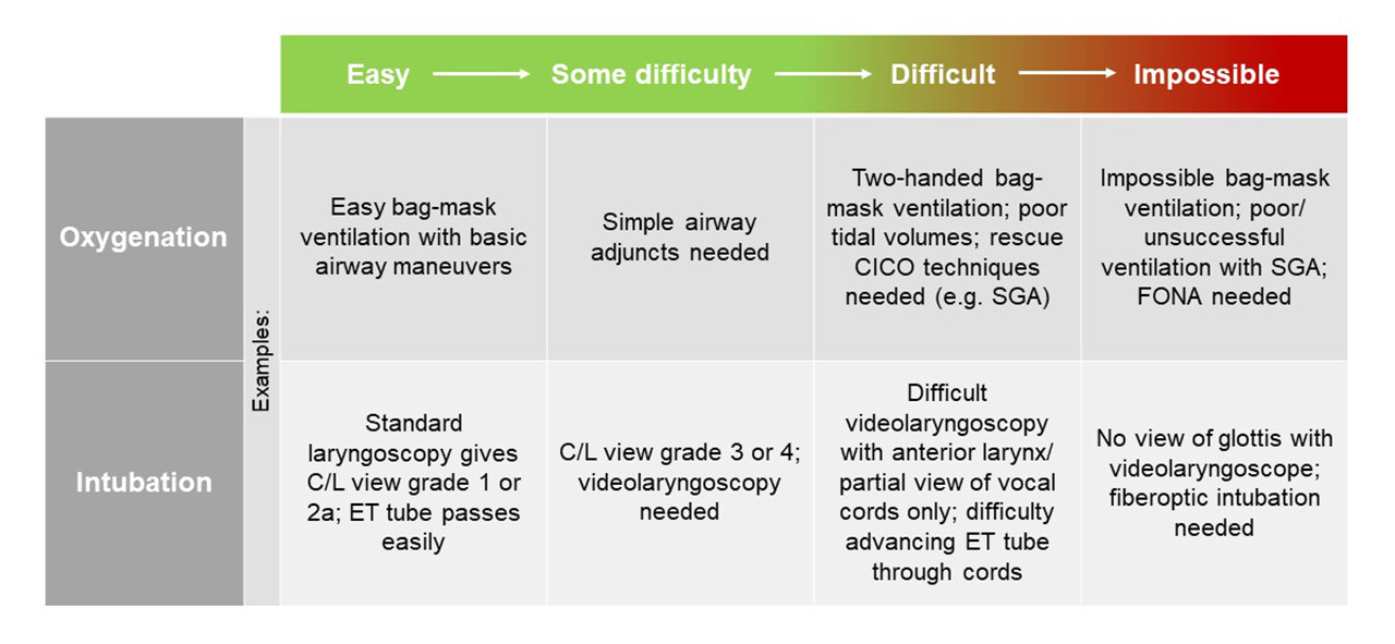 Bag Valve Mask Ventilation | SpringerLink