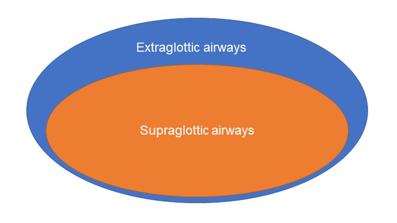 LMA Supreme®  Anesthesia Airway Management (AAM)