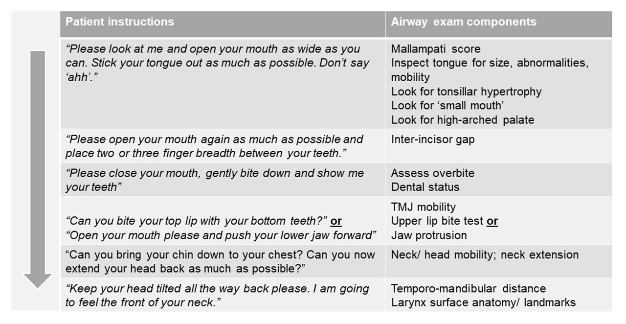 LMA Unique®  Anesthesia Airway Management (AAM)