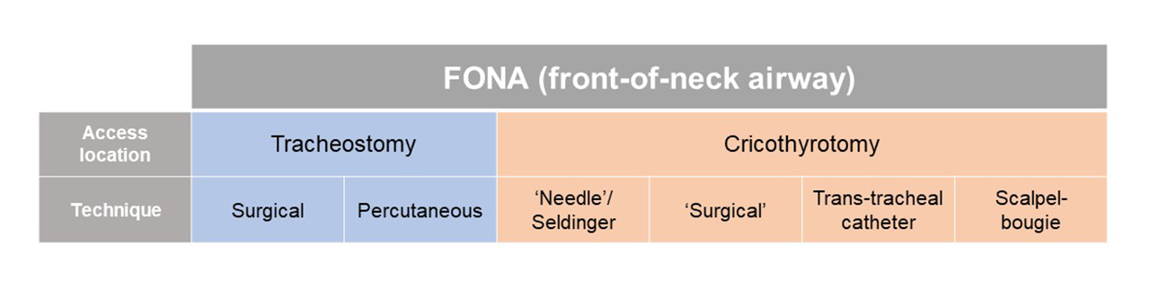 FONA (Front-of-neck airway)  Anesthesia Airway Management (AAM)