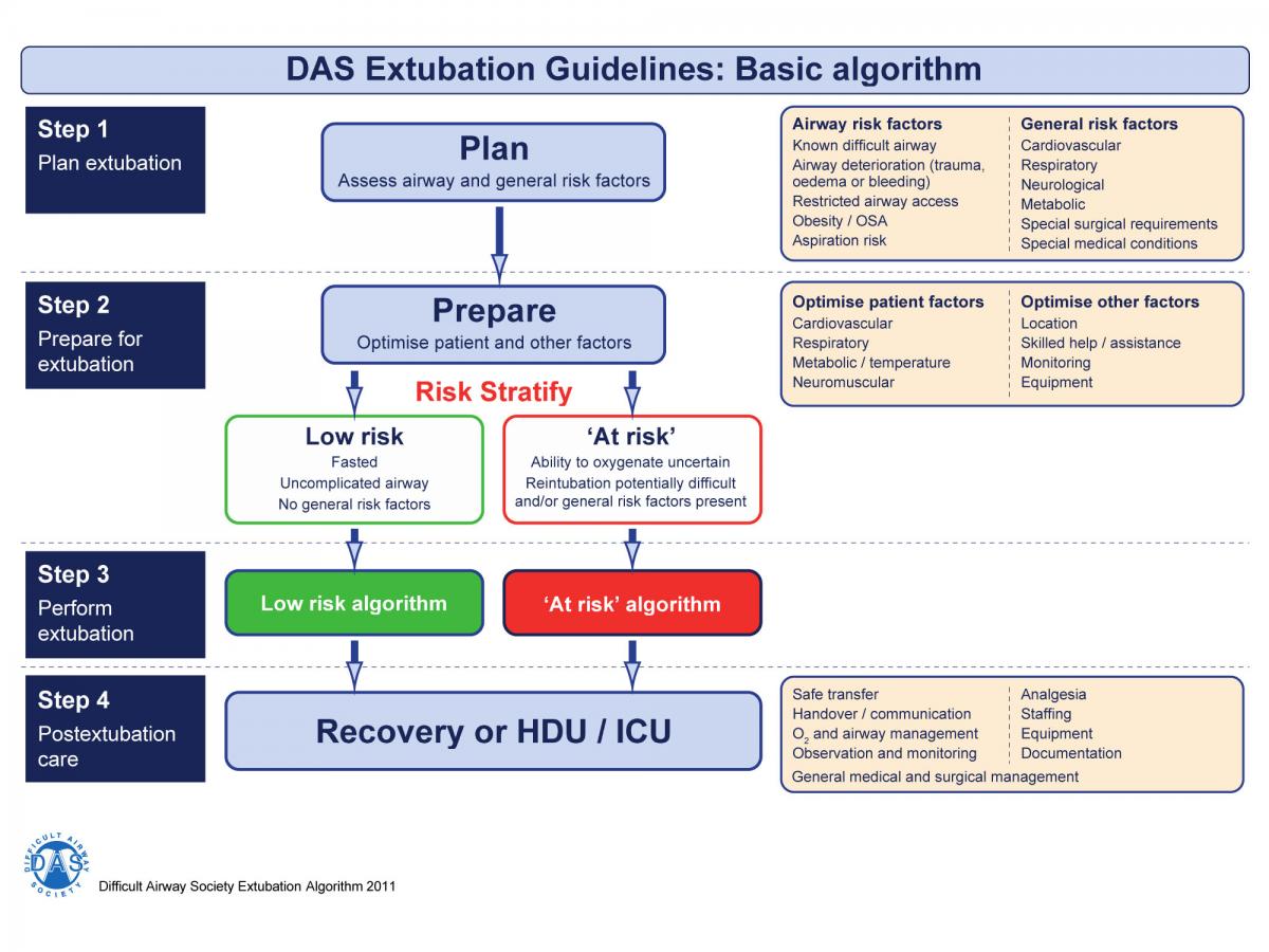 Difficult extubation  Anesthesia Airway Management (AAM)