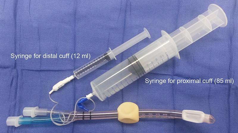 LMA Unique®  Anesthesia Airway Management (AAM)