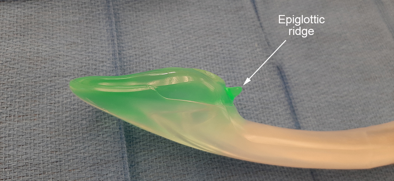 LMA® Flexible™ Single-Use Airway - Size 2.5, Supraglottic Airways, Airway, Anesthesia