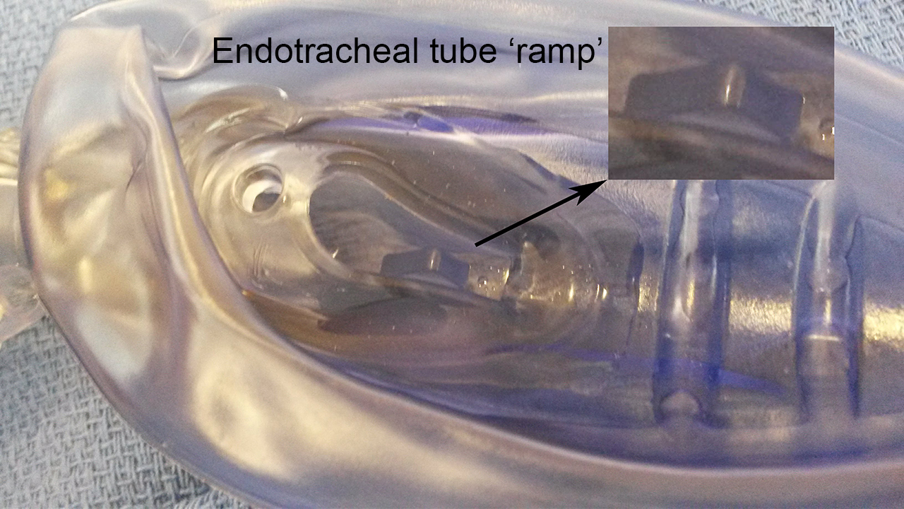 LMA Unique®  Anesthesia Airway Management (AAM)